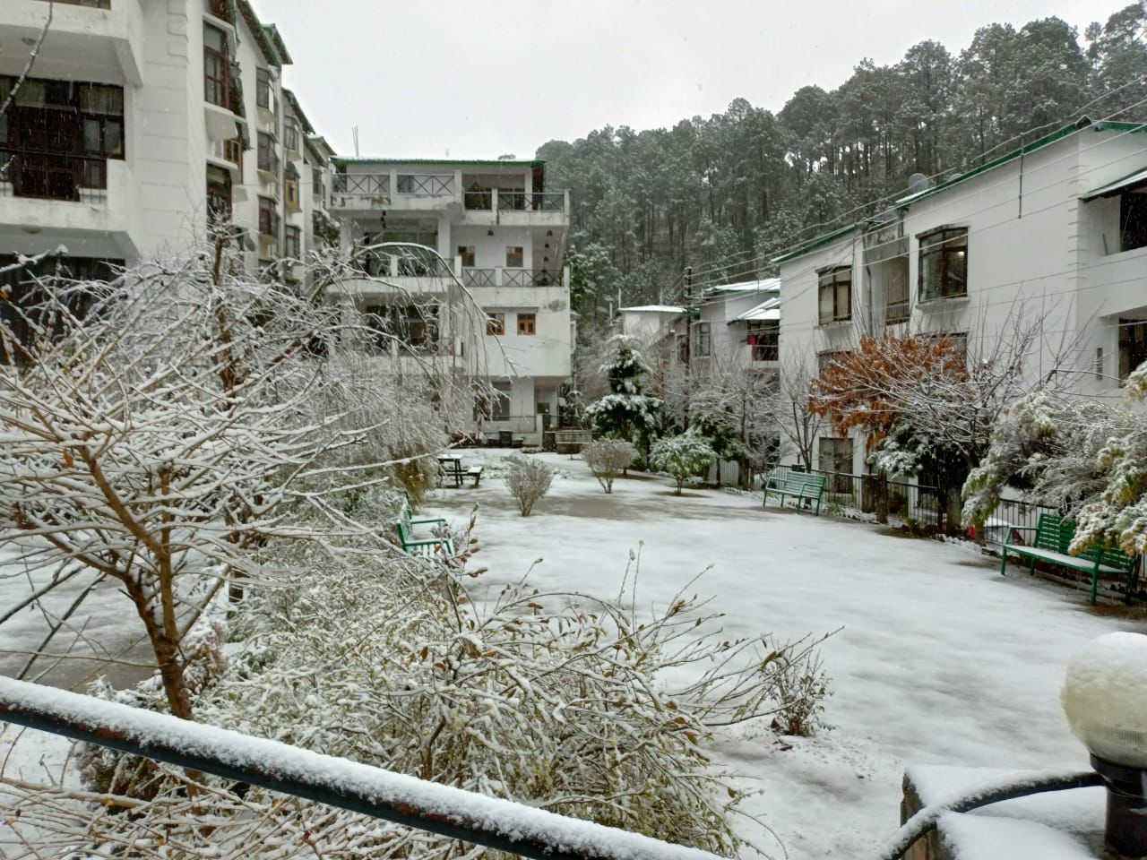 Colony Retreat Nainital