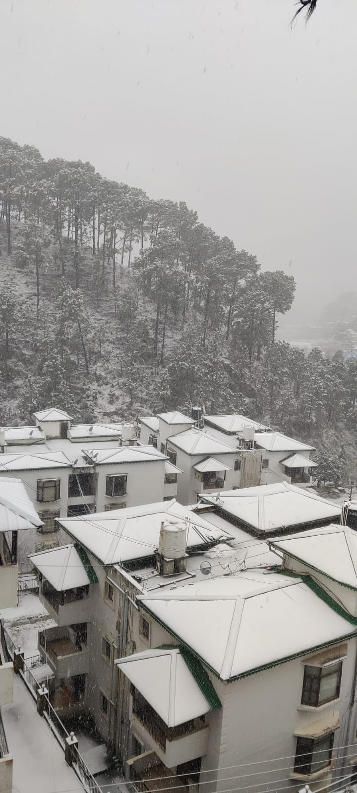 Lake View Stay Nainital